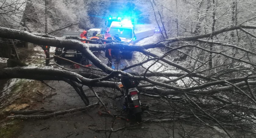 Drzewo spadło na jadący motocykl, którym podróżowały dwie osoby [FOTO]