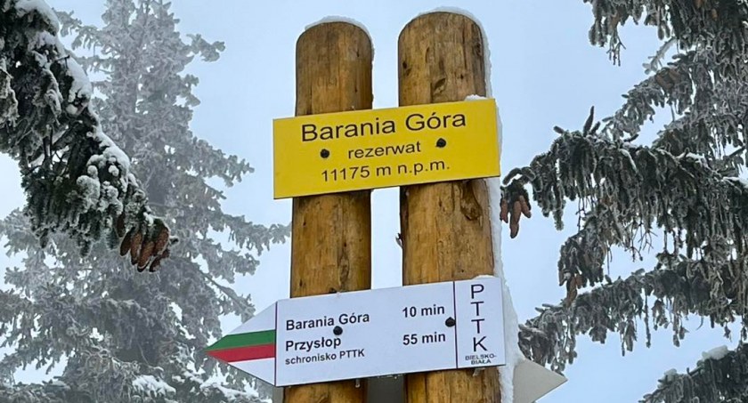Najwyższy szczyt świata znajduje się w Beskidach?