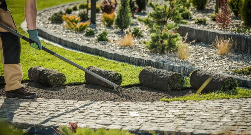 Pielęgnacja ogrodów Bielsko-Biała. Na czym polega i gdzie zamówić usługę?