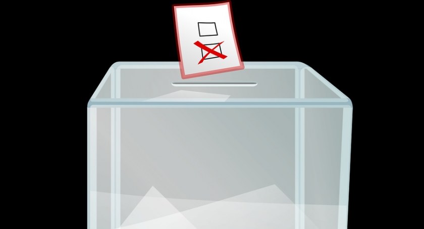 A to ciekawe,  czyli wydarzyło się  podczas referendum
