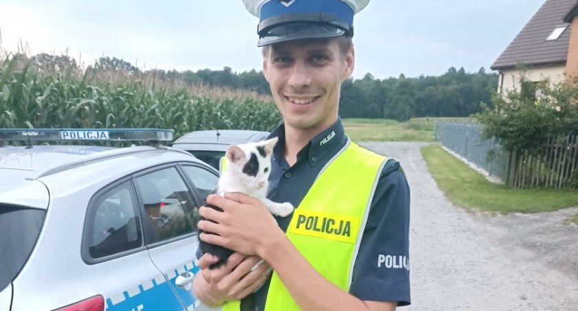 Policjant grupy Speed uratował małego kotka [FOTO i FILM]