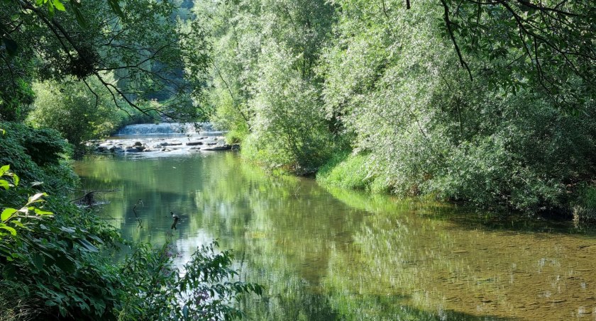 Akcja Czysta Wisła w piątek w Bielsku-Białej