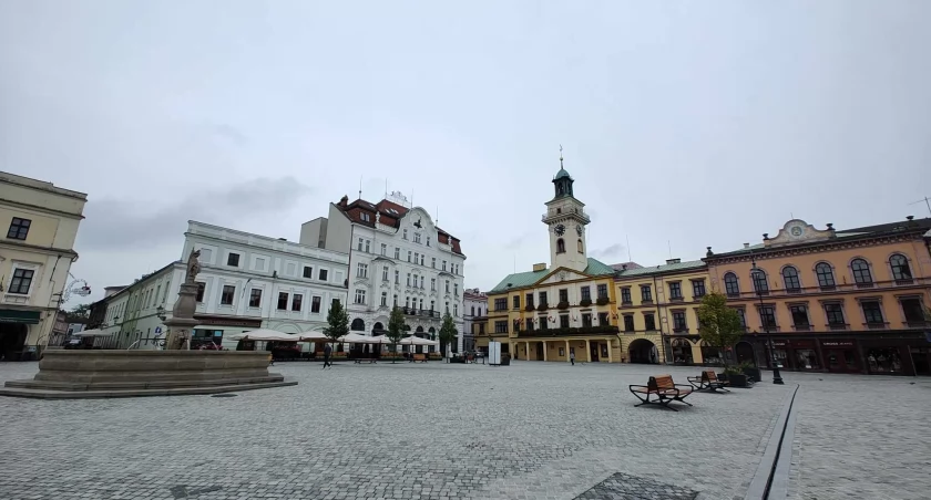 Złota rączka, wiata grillowa czy renowacja figur? W Cieszynie rozpoczęło się głosowanie