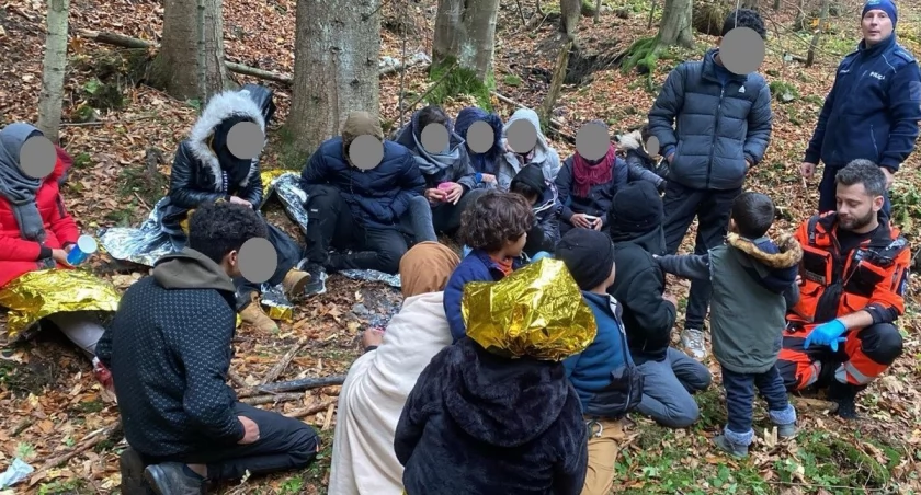 Dużą grupę migrantów odkryto w lesie