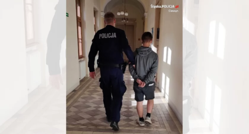 Wnuk znęcał się nad dziadkami, najbliższe lata może spędzić w więzieniu