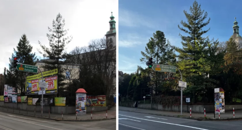 Cieszyn pięknieje dzięki uchwale krajobrazowej