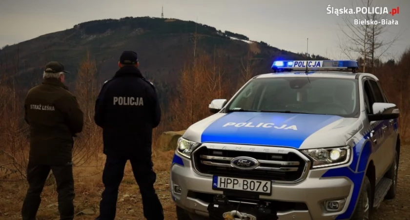 Leśnicy z policjantami przeciwko kradzieżom choinek z lasu