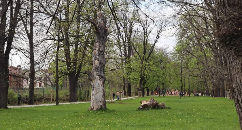 Czy nazwy mostu i parku Włókniarzy zostaną zmienione? Do Ratusza trafiła petycja