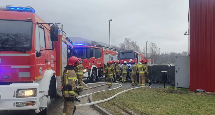 Pożar na wojskowej strzelnicy w Bielsku-Białej [FOTO]