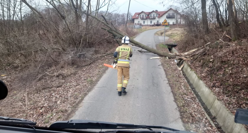 Dzisiaj silny wiatr w Beskidach, a po nim ochłodzenie