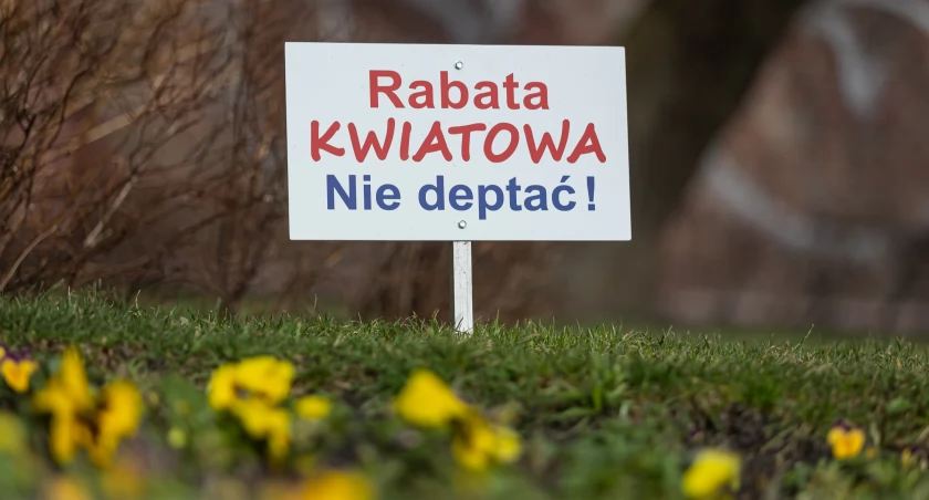 Bielsko-Biała chce chronić kwiaty, które niedługo zaczną budzić się do życia 