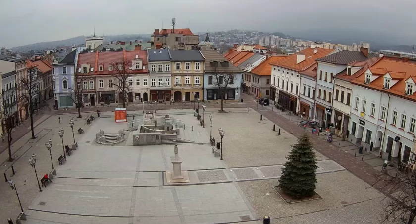 Nowe pomniki przyrody i kamera na bielskim Rynku