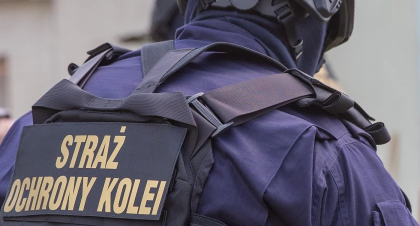 Interwencja sokistów w Wapienicy zakończyła się zatrzymaniem czterech mężczyzn