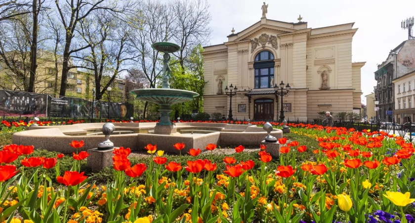 W Bielsku-Białej kwitnie 9 tysięcy tulipanów [FOTO]