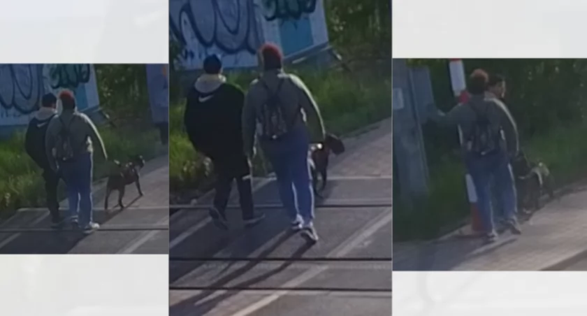 Policja poszukuje sprawcy zniszczenia okularów [FOTO]