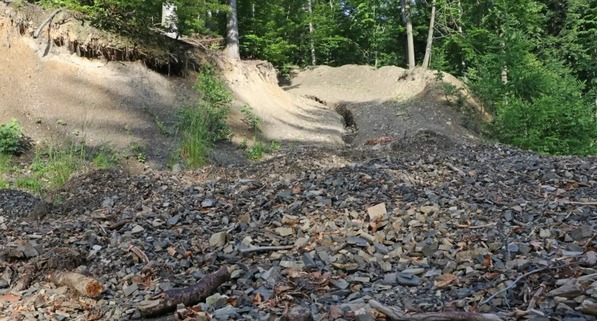 Wiceminister klimatu przyjedzie do Bielska-Białej, spotka się z ekologami, leśnikami i samorządowcami