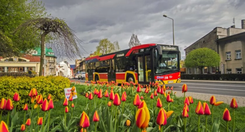 Linia autobusu nr 2 zmienia trasę przejazdu