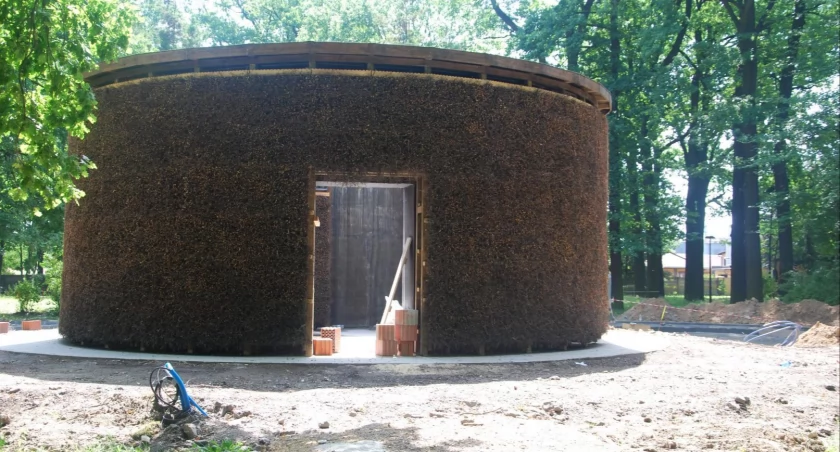 Czechowicki Park Miejski Lasek przechodzi metamorfozę [FOTO]