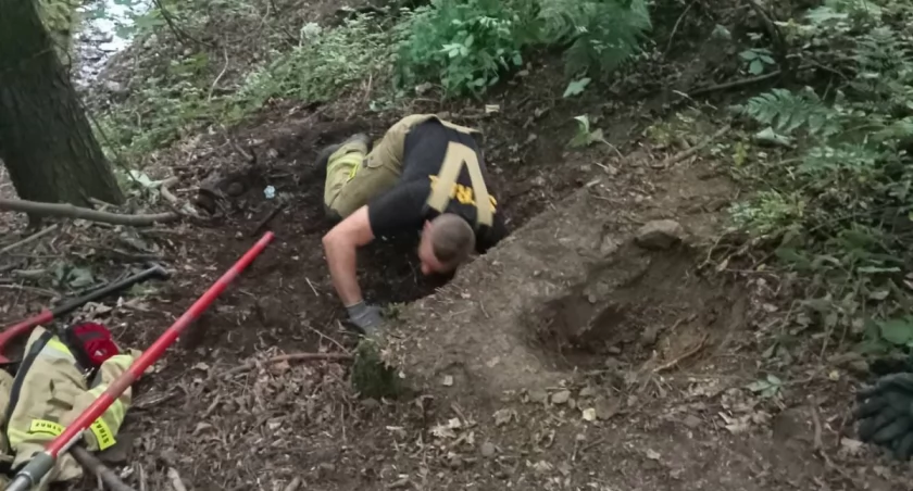 Pies utknął w kanale, z pomocą ruszyli strażacy [FOTO]