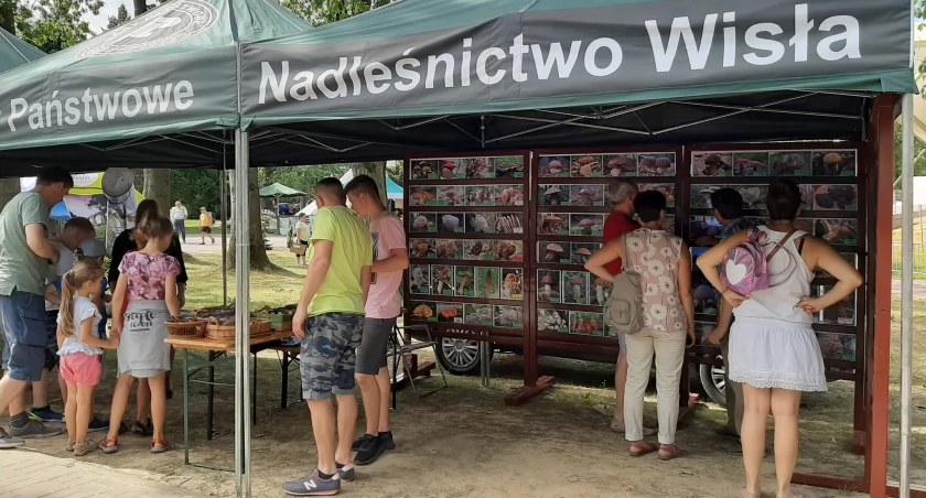 Piknik Leśny w Wiśle 2025 | W programie koncerty, kabaret, warsztaty i inne atrakcje
