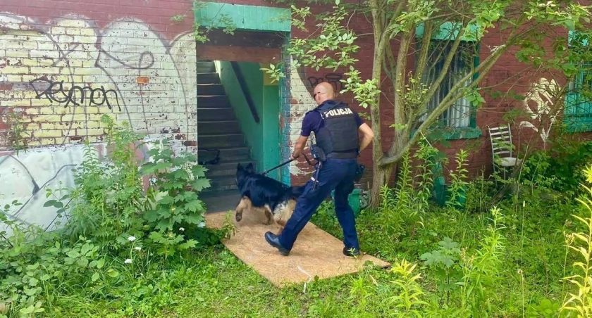 Brawurowa ucieczka przed policją. Kierowca zatrzymany dzięki psu tropiącemu