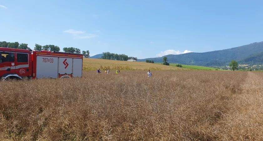 Tragiczny wypadek w Lipowej: Pilot zginął w katastrofie małego samolotu