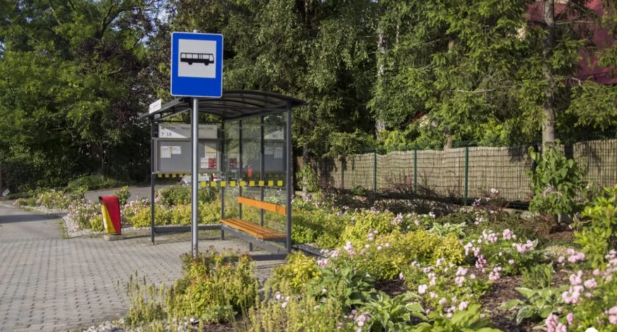 Bielsko-Biała inwestuje w zielone przystanki autobusowe