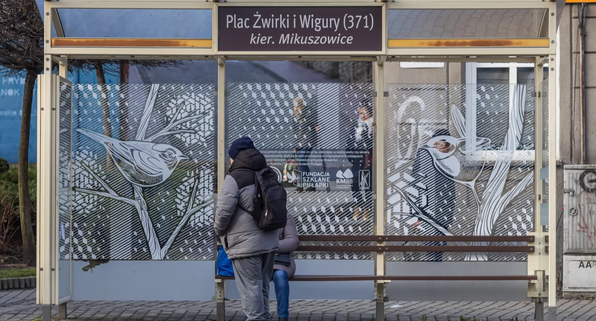 Sztuka chroni ptaki. Innowacyjny przystanek w Bielsku-Białej