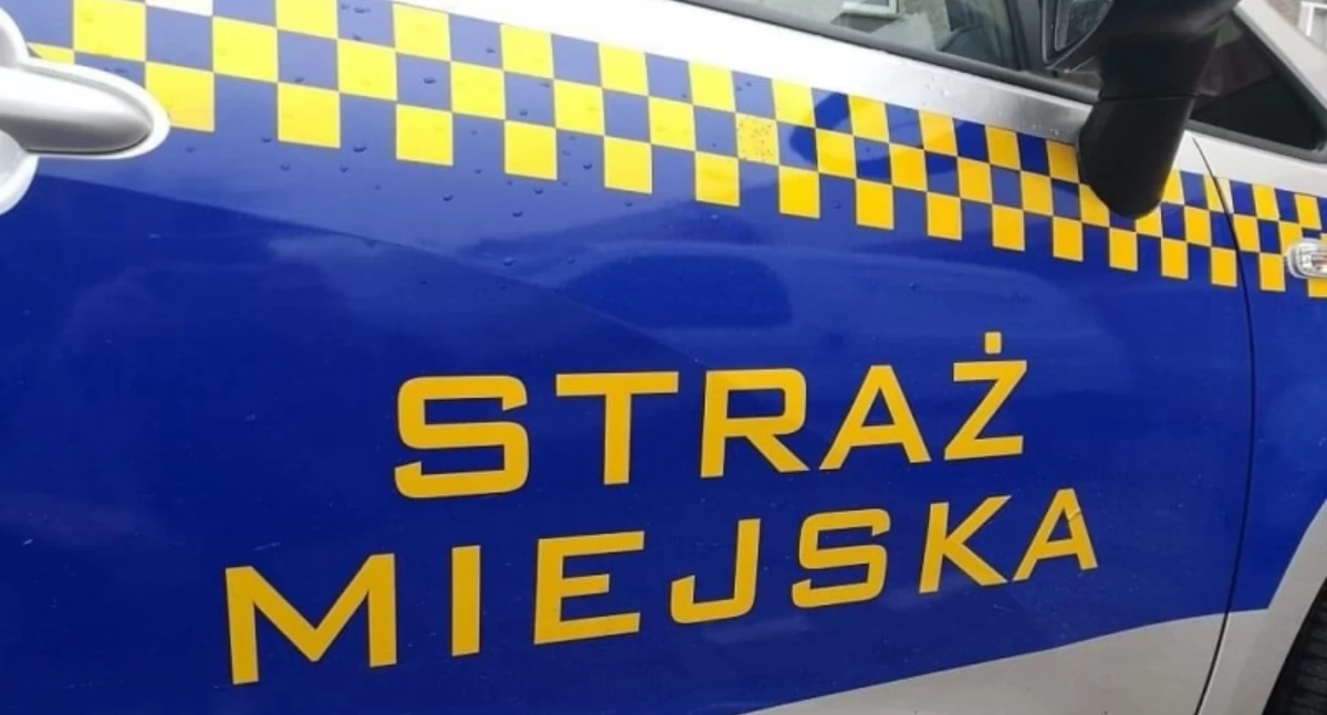  Zdewastował food trucka na świątecznym jarmarku 
