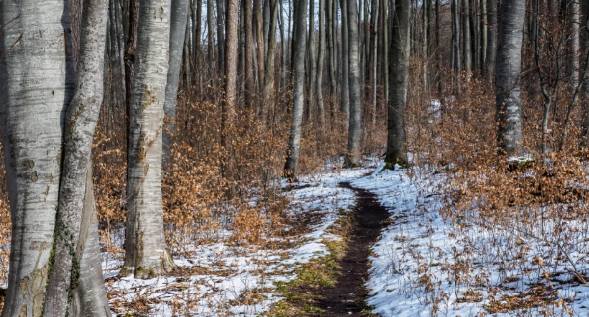 Zmiany pogody w Beskidach. Nadciąga ocieplenie