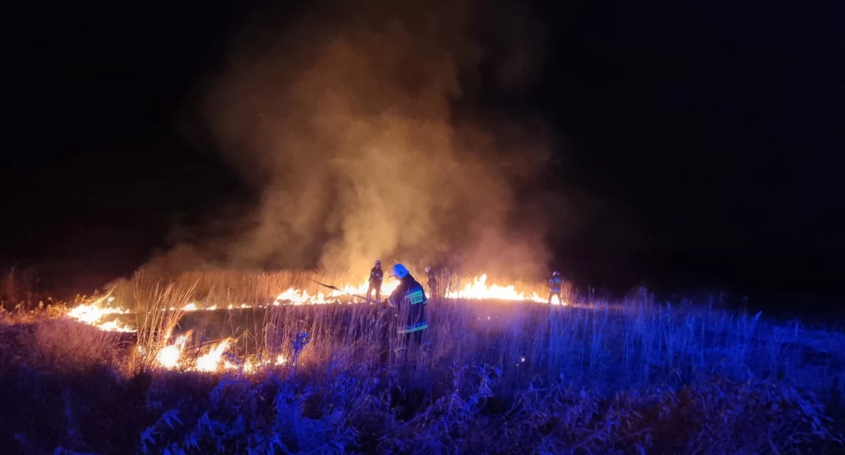 Alarmujący wzrost pożarów traw i nieużytków