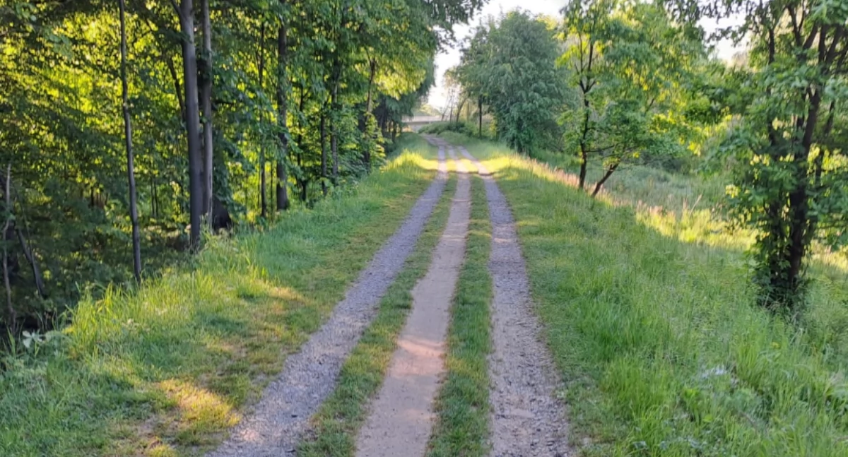 Miliony dofinansowania na trasy rowerowe. Przebudowa Wiślanej Trasy Rowerowej wkrótce 