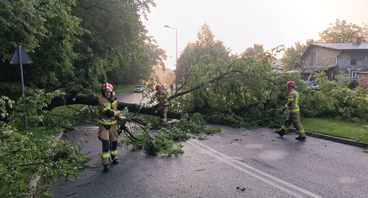 26 interwencji strażaków po burzowej nocy w Bielsku-Białej