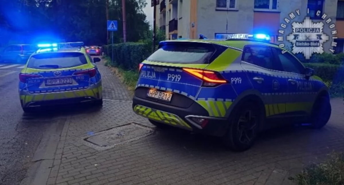 Szybka akcja służb ratunkowych. Zaginiona dziewczynka odnaleziona cała i zdrowa