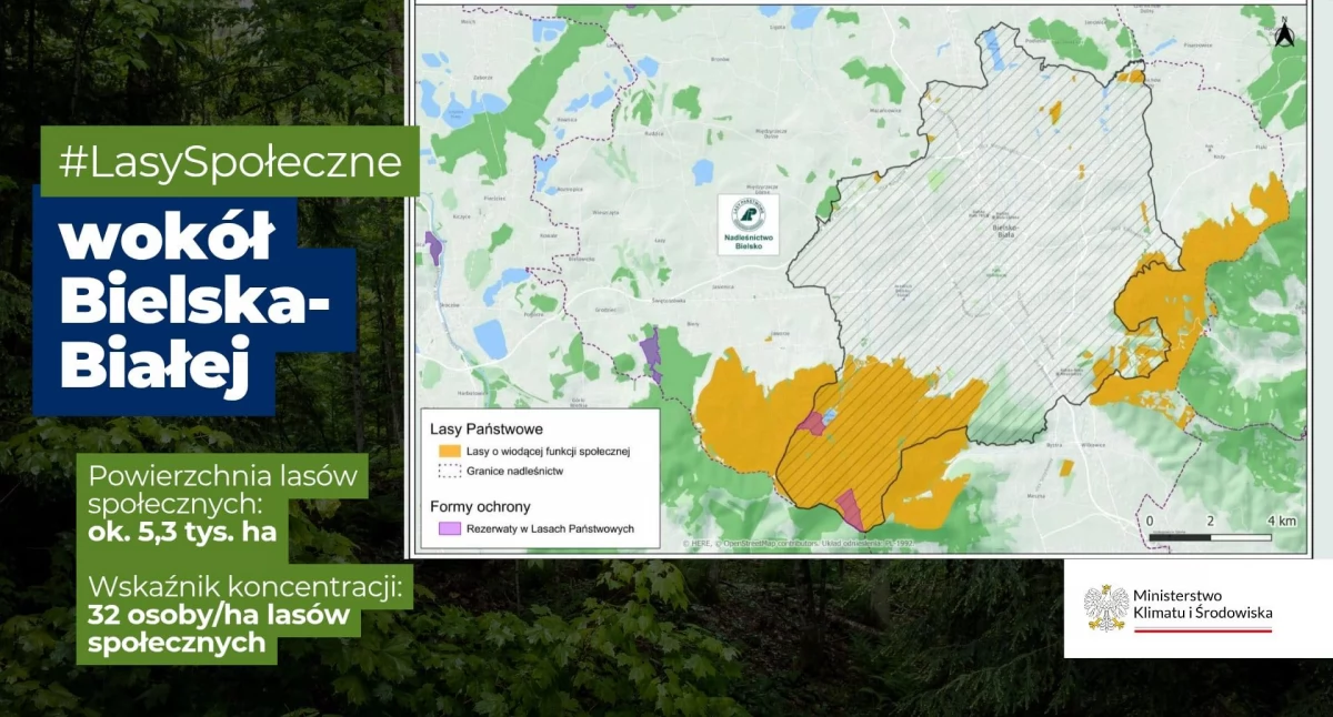 Bielsko-Biała w gronie pionierów lasów społecznych. Powstaną obszary leśne bez wycinki drzew