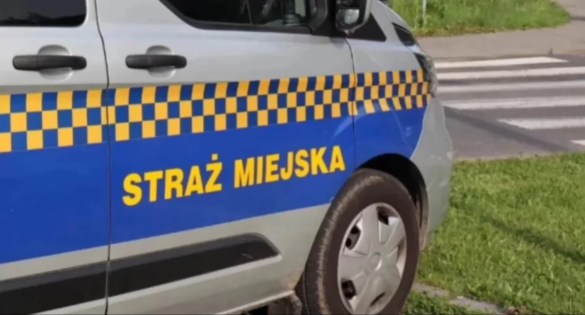 Interwencja Straży Miejskiej na ul. Łukasiewicza. Sprawca zatrzymany na gorącym uczynku