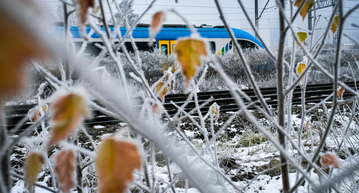 Nowy rozkład jazdy Kolei Śląskich od 14 grudnia