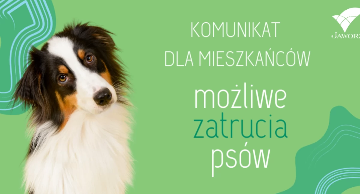 Zgłoszenia o możliwych zatruciach psów w Jaworzu, Jasienicy i Wapienicy