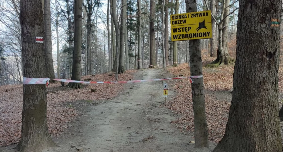 Trasa rowerowa Twister zamknięta. Na Enduro Trails trwają prace leśne