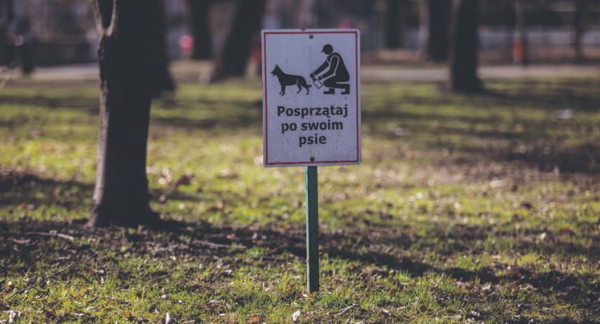 Sprzątaj po swoim psie