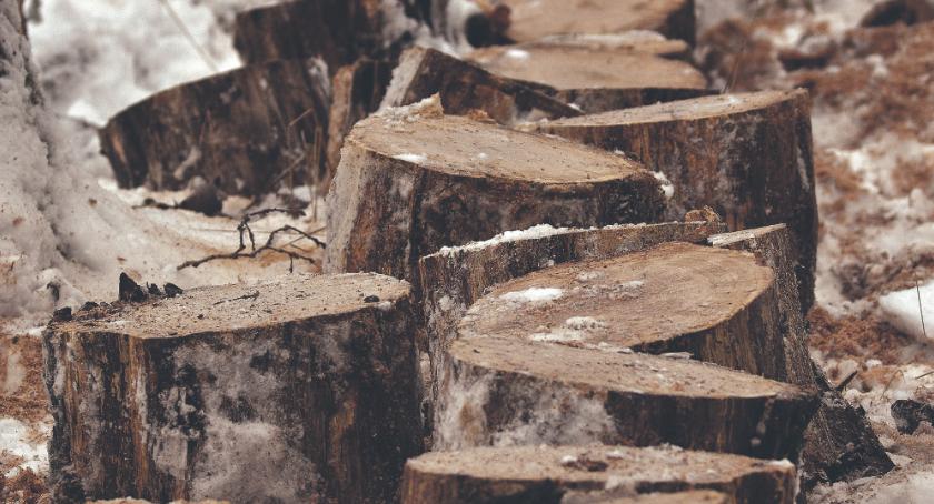 Oda do betonu,  a nawet dwóch…