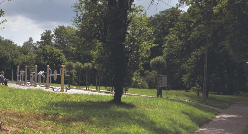 Kępa Hałcnowska: Posprzątany Park Na Kopcu