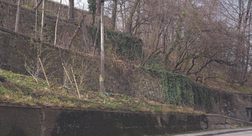 Jak działa infrastruktura i obrona cywilna w Bielsku-Białej