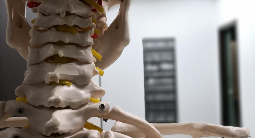 Studia osteopatii - kto może się ich podjąć i jak wygląda ich przebieg?