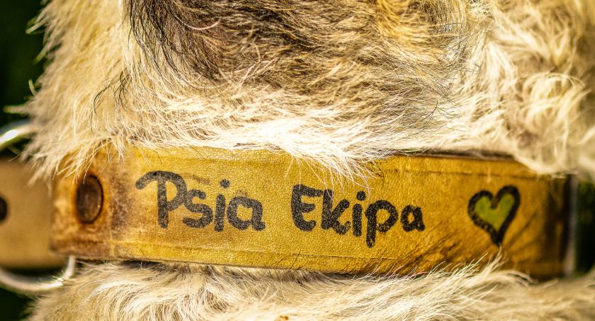 Psia ekipa - wernisaż wystawy w Kubiszówce