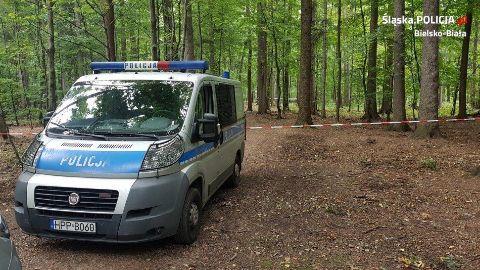 W Cygańskim Lesie odnaleziono niewybuch