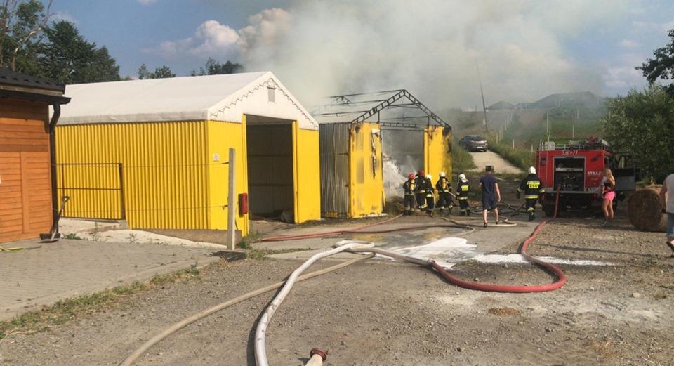 Pożar w stadninie koni w Międzyrzeczu Górnym