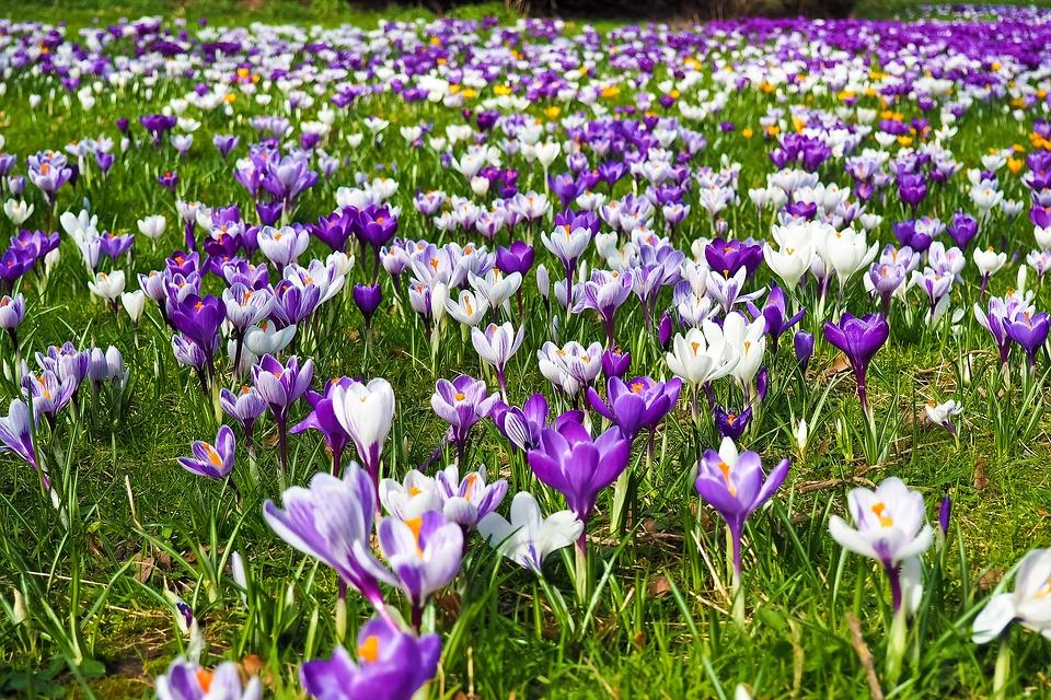 Całkiem przyjemny pogodowo beskidzki weekend