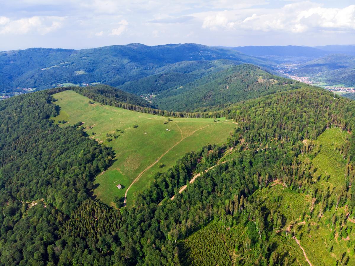 Kotarz Arena w Brennej - Inwestycja za kilkaset milionów 