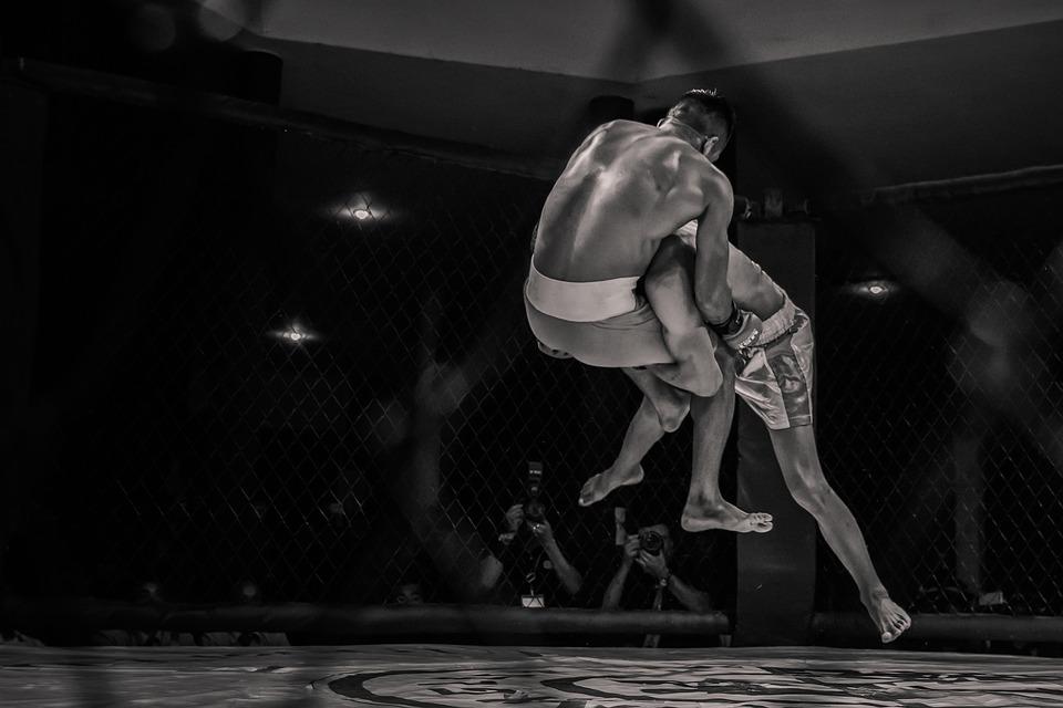 Gala MMA Celtic Gladiator w Bielsku-Białej